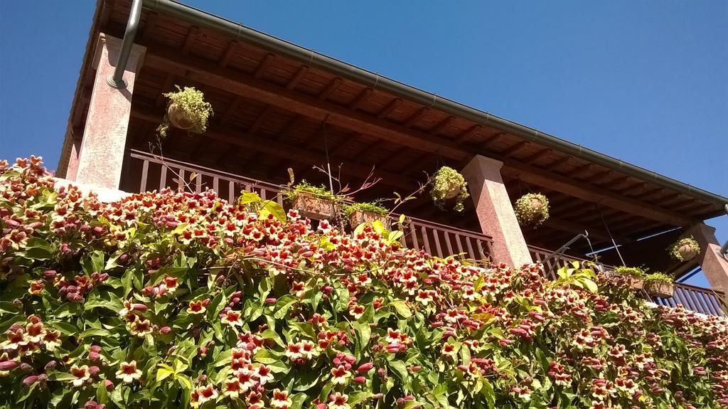 Bed And Breakfast Posserle Padenghe sul Garda Buitenkant foto